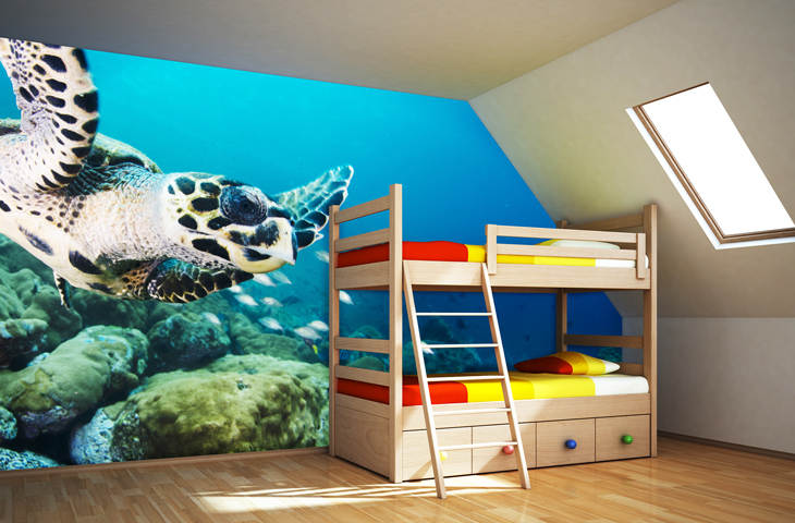 turtle